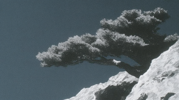 Japandi Wanddeko mit Erdtönen“, „Minimalistische Leinwandkunst im Japandi-Stil