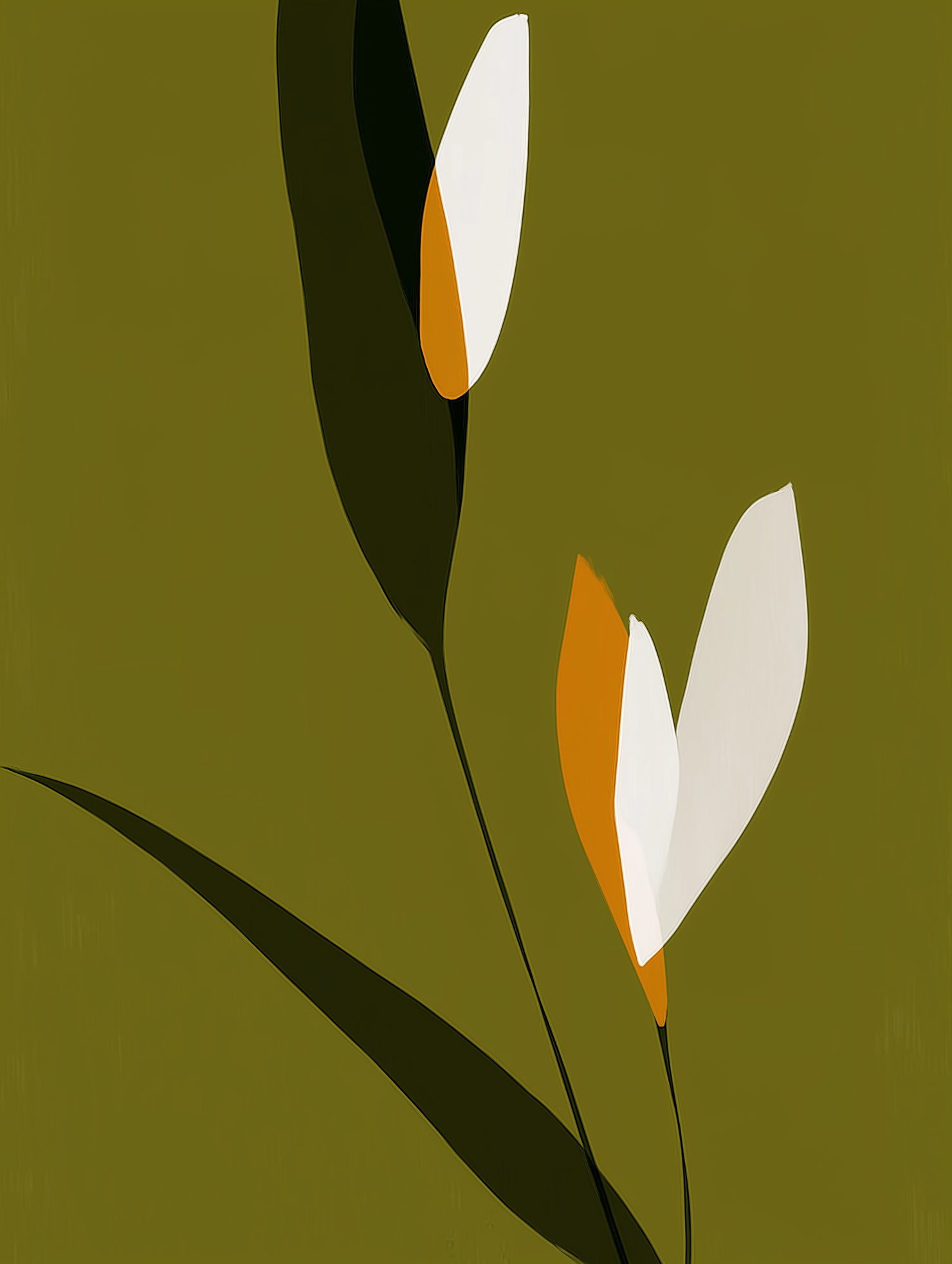 Blumen & Pflanzen