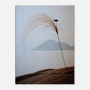 448c6207-f1a0-4dfa-bb3a-b267de227f56