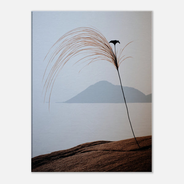 448c6207-f1a0-4dfa-bb3a-b267de227f56