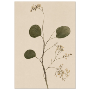 Botanischer Japandi Kunstdruck – Pflanzenstiel mit runden olivgrünen Blättern und zarten Schleierkraut-Blüten in Beige, Aquarell-Stil auf cremefarbenem Hintergrund