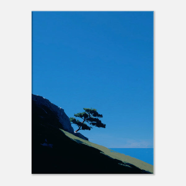 d3a1c5b6-0f62-474e-9010-e761becac236