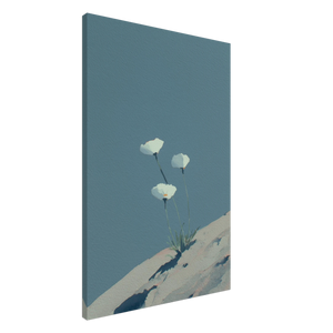 ecf507d5-50c7-488e-b042-35ac859fd021